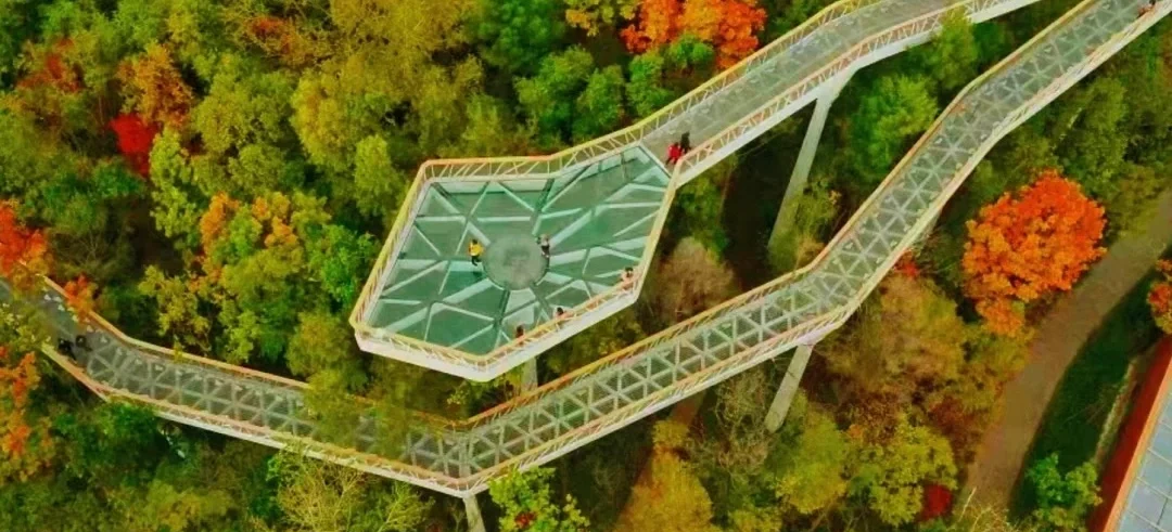 00000000aWaocoKPizOFxMyK 00000000aWaocoKPizOFxMyK