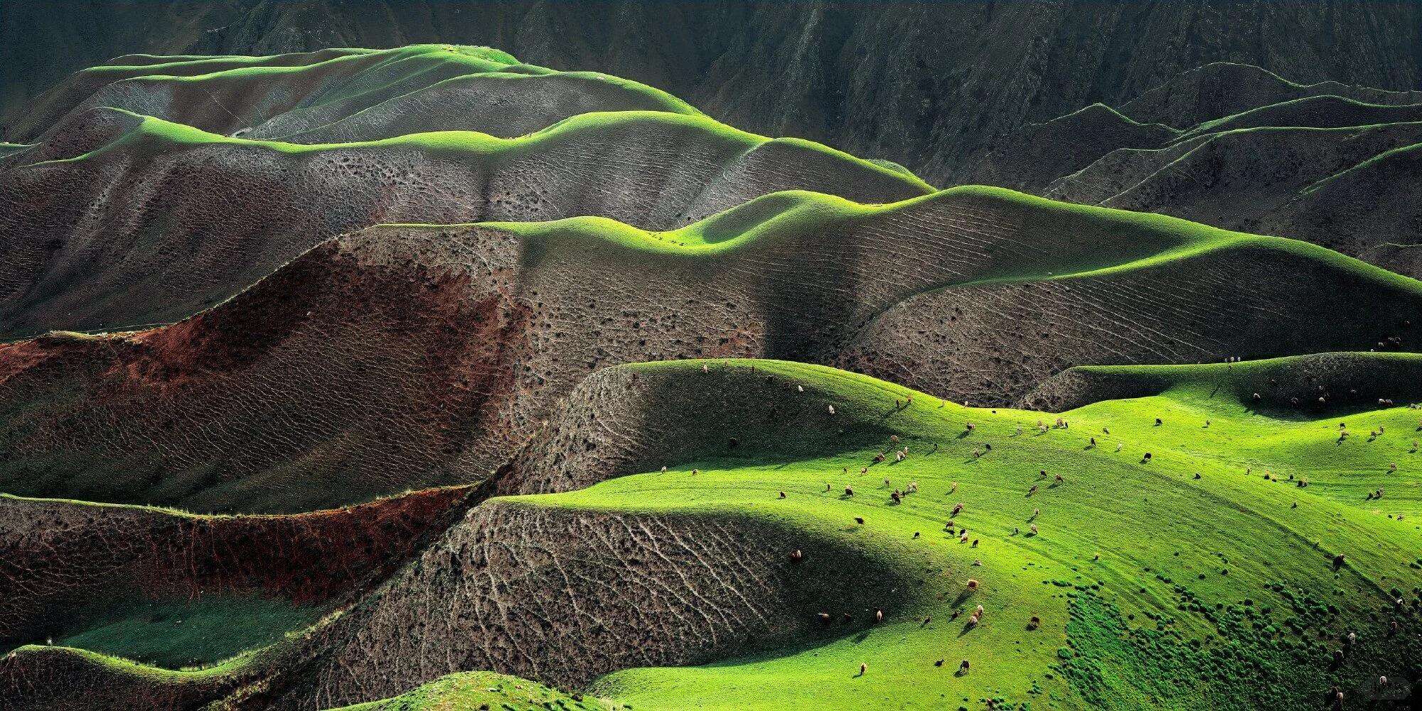 00000000ahCjOvaqRHyElqQe