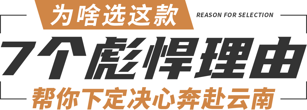 00000000avFoChocIJraYIBT