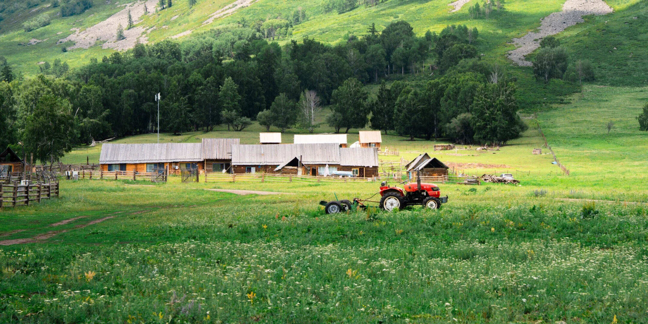 00000000bHLKlHHrHogBAbsS 00000000bHLKlHHrHogBAbsS