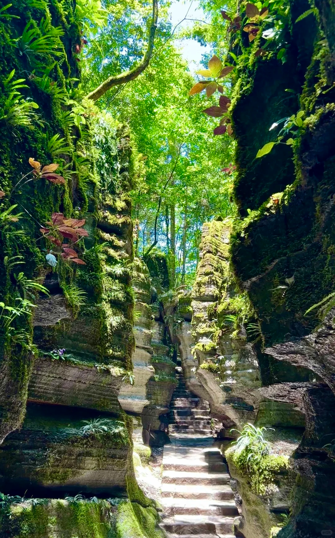 00000000bdoESJeBlNioEmUq