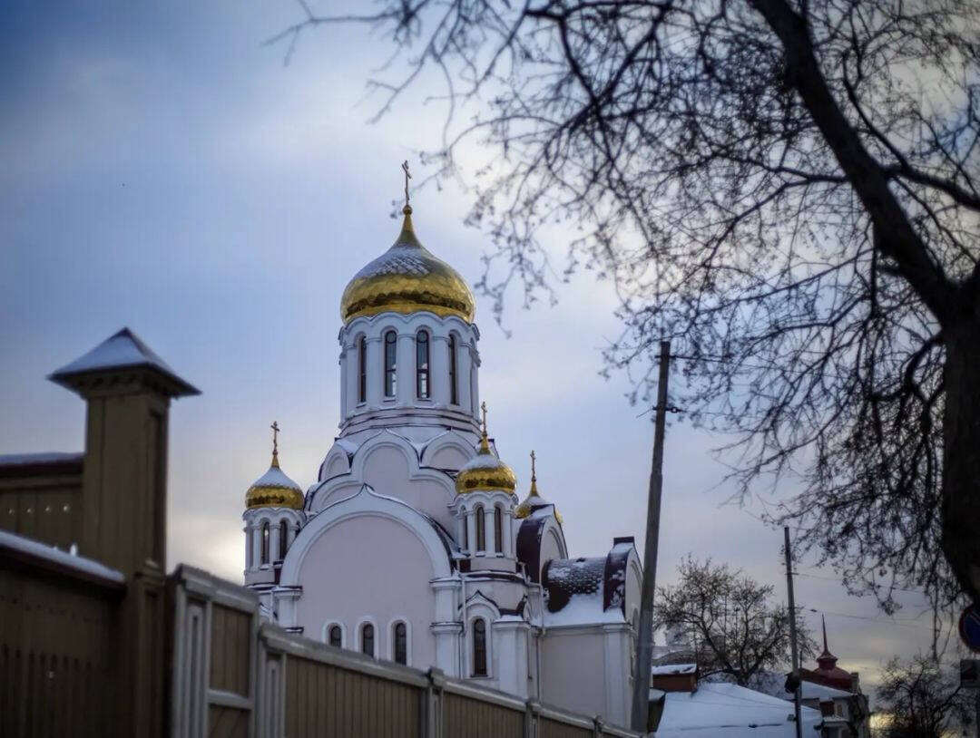 00000000cDpVyEUfUJJQRNae