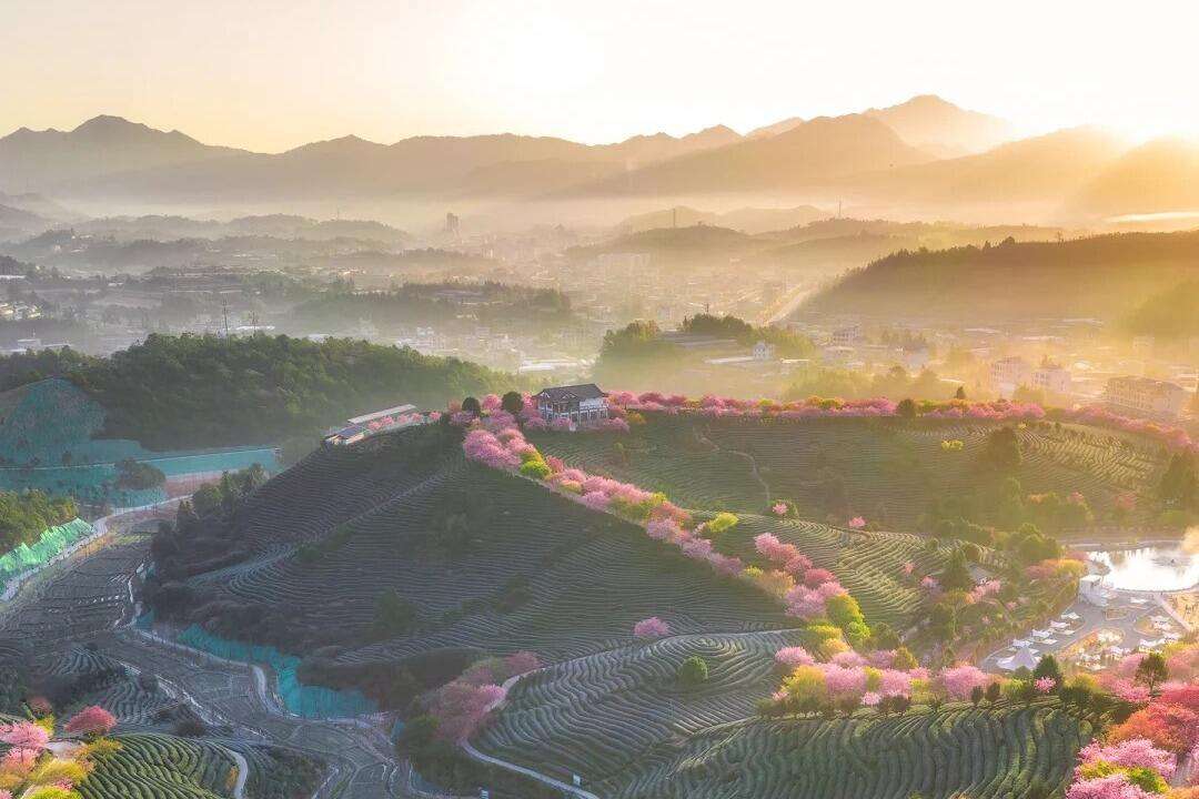 00000000cGlFJGMVCGrfsjCl