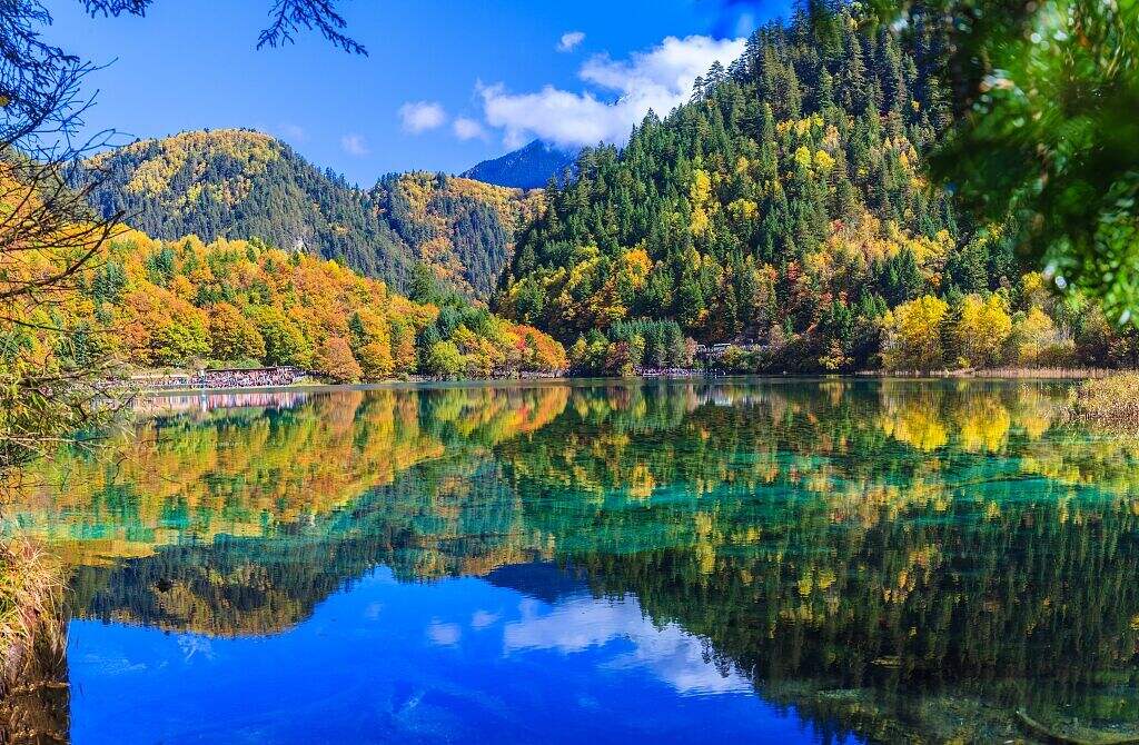 00000000cKgjCwGEyXzCUMjB