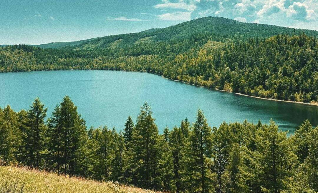 00000000cMYFdWPnCyDoYqiu 00000000cMYFdWPnCyDoYqiu