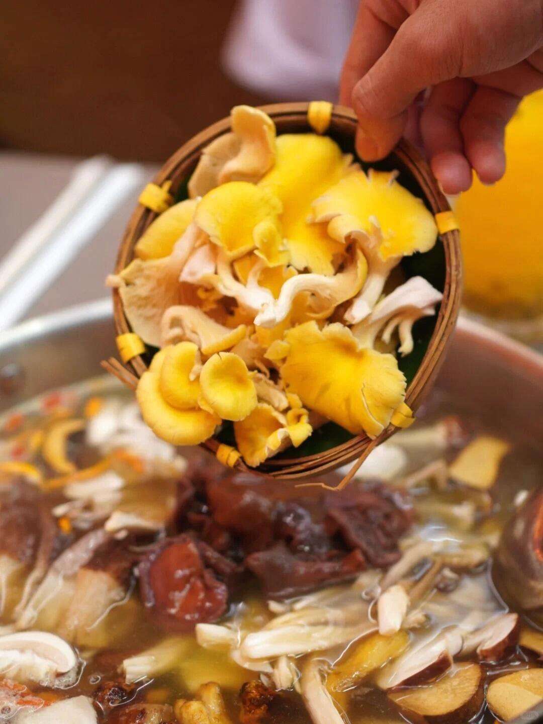 00000000cVGXCabzTkFovmQo