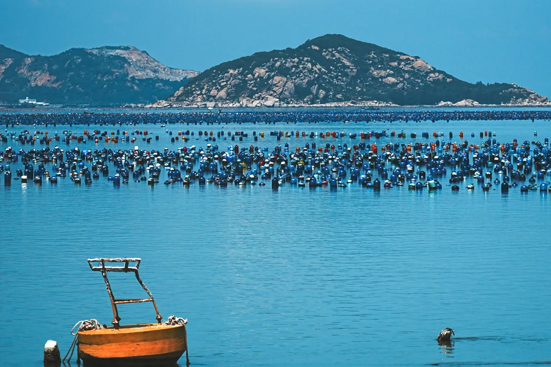 00000000cqeLhcSLovKXeZkZ