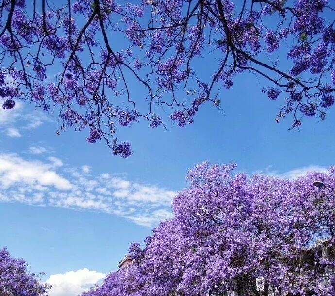 00000000cvQjiTdEZyeYNGwE