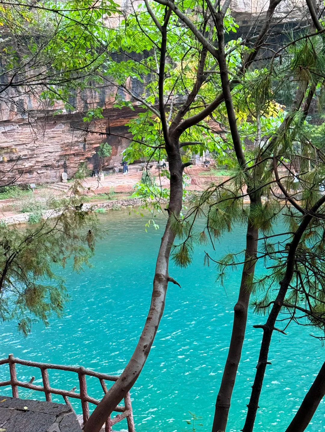 00000000cyMGNGQohDFFrfLy