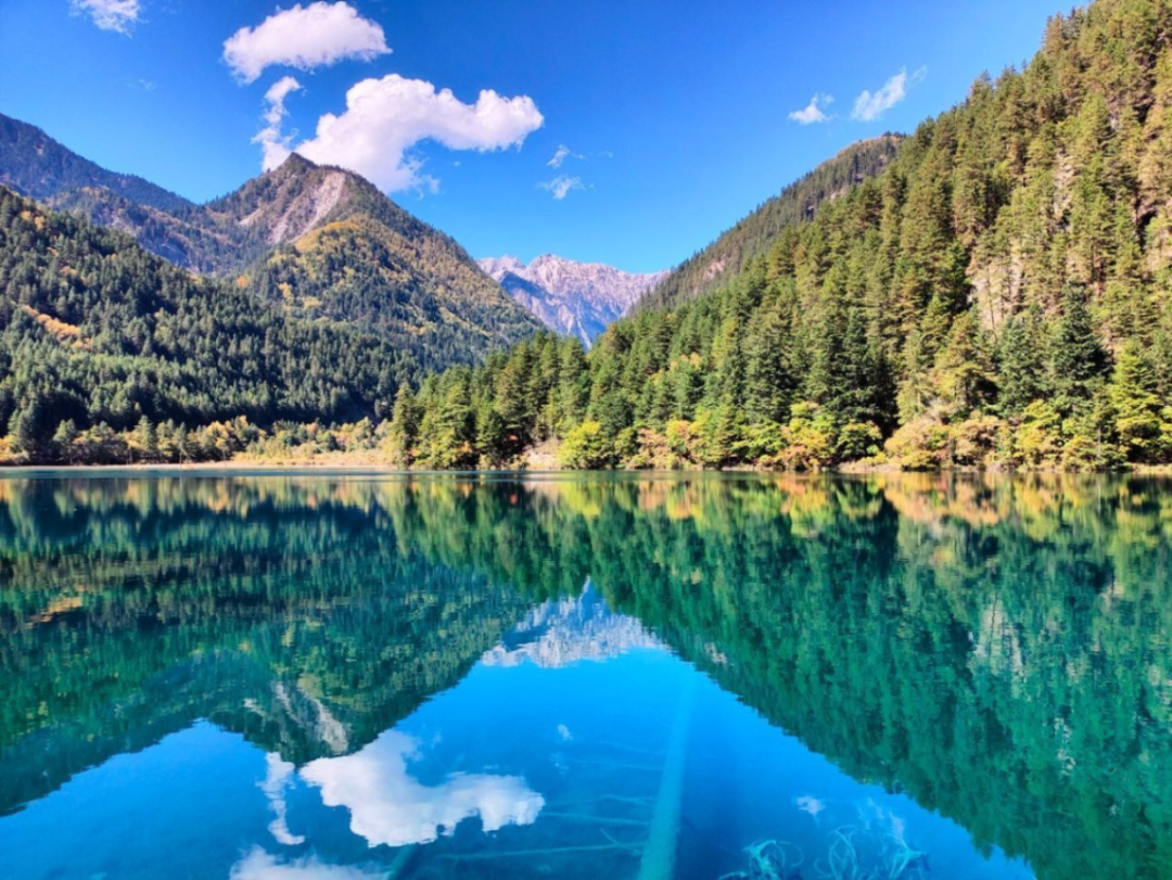 00000000dExcPaImzCacPUoj