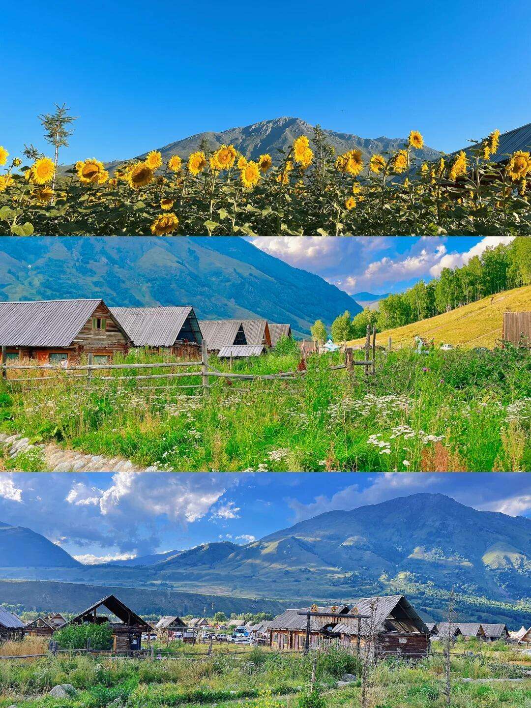 00000000dyHwimHvRyYxUNyT