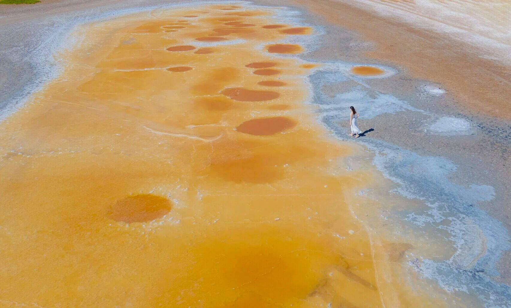 00000000eEkqLSjbNgWzhQkn