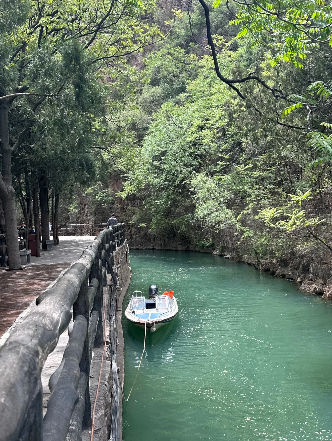 00000000eZTFCmwPEYisrnaj