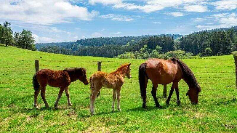 00000000eodriROhTutrEmqi