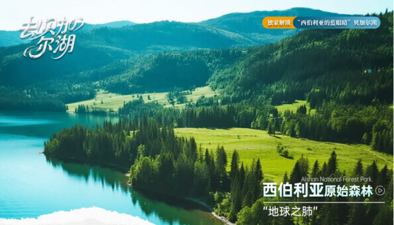 00000000eybzmvwcfGYhLWrZ