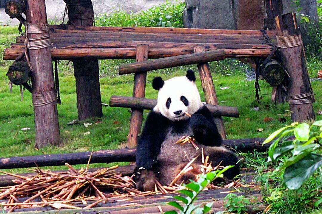 00000000fTCVvkNPSnLTEMQr