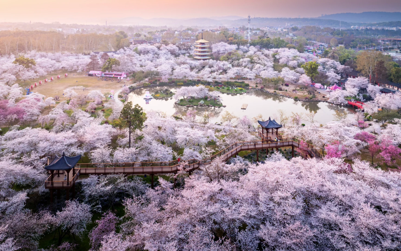 00000000gHXXGptPdCiCKWBg