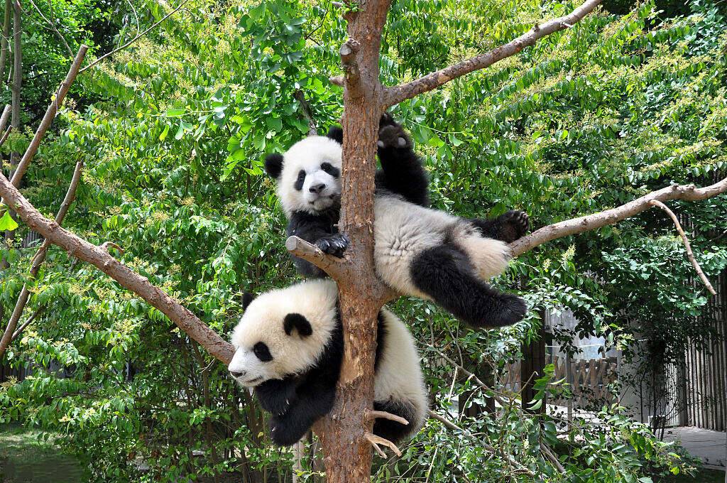 00000000gMZVJYmpZmsxWFGT