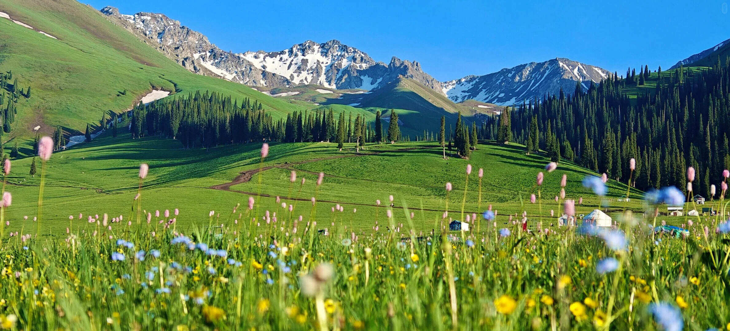 00000000gaHqmamWqCRNPDNu 00000000gaHqmamWqCRNPDNu