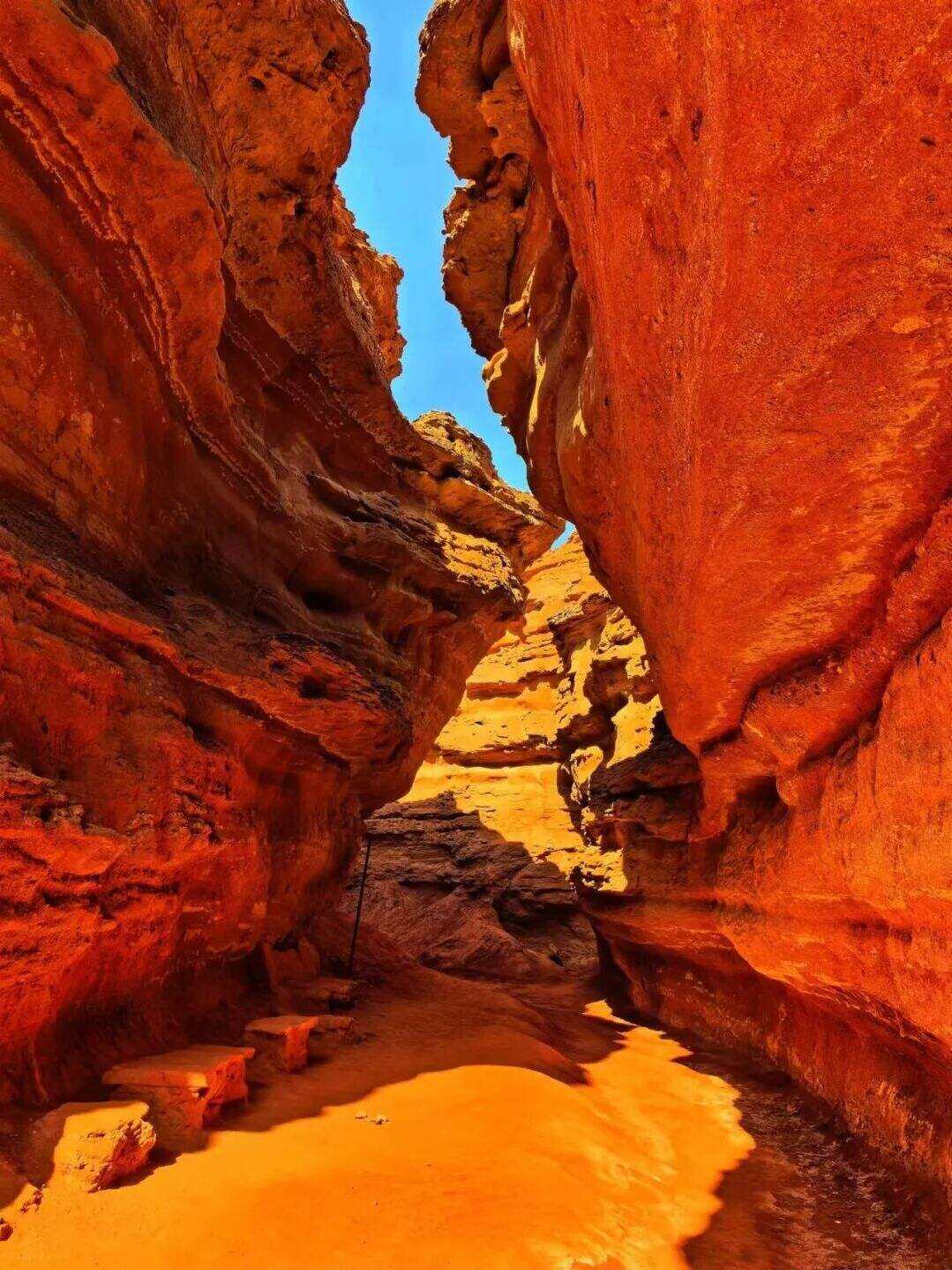 00000000gaWDzEiCYHOVrtQJ