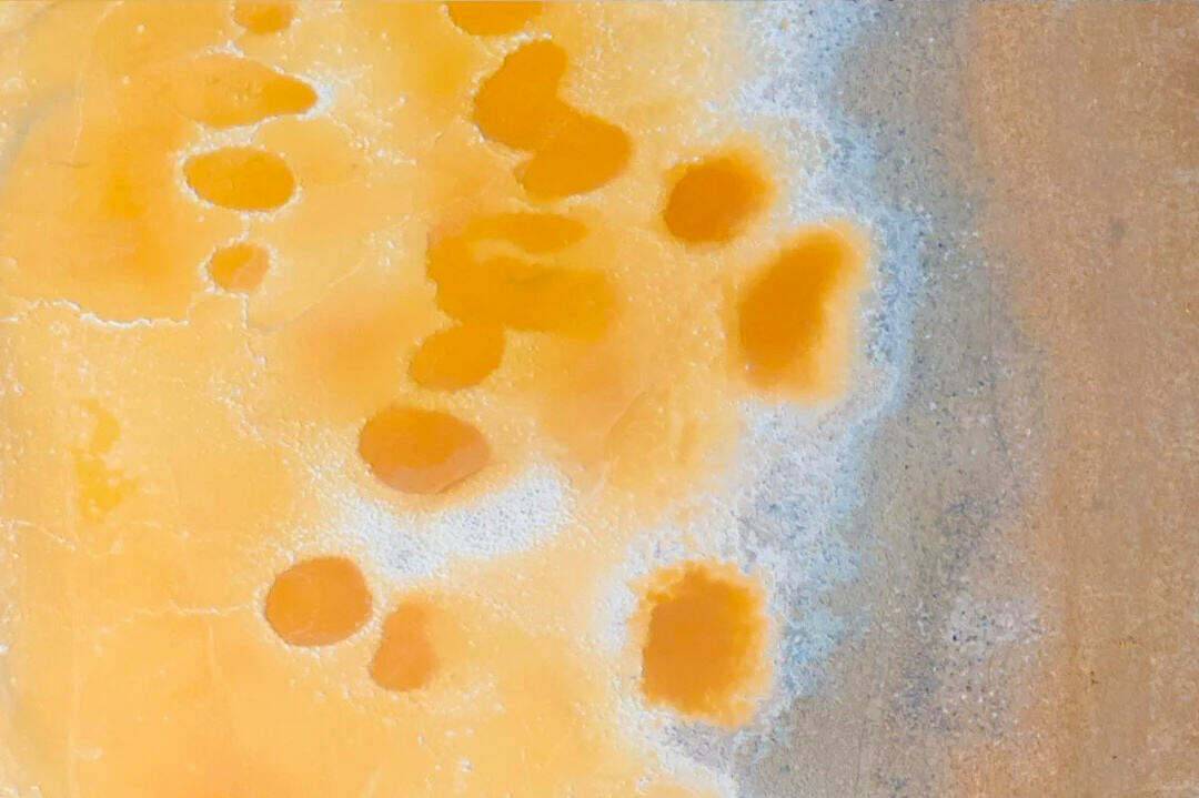 00000000gdyCaBQzXANrPvJo