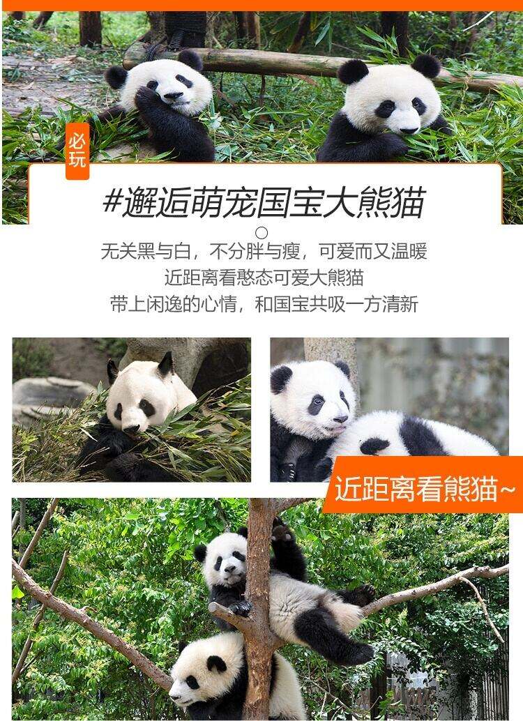 00000000ghvKVSuyeQaIglCf