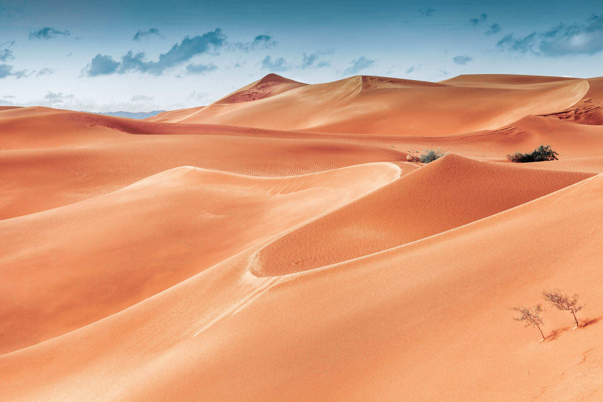 00000000glZxSIAogkpEWYhR