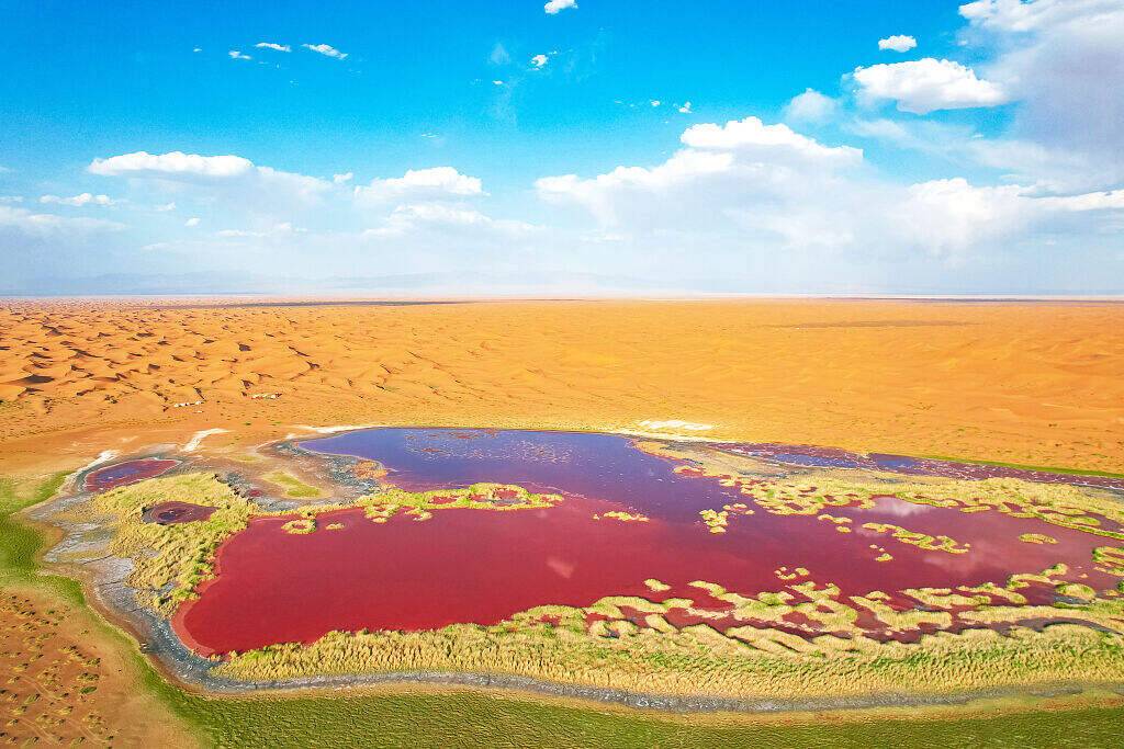 00000000gsVjkKAogwrFHdXE