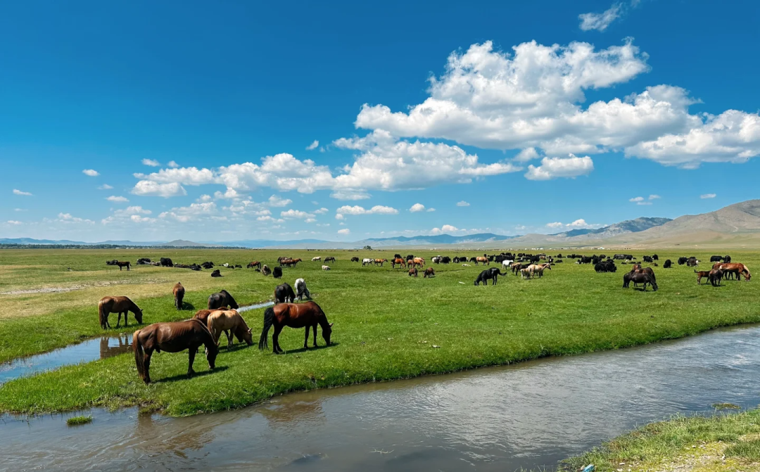 00000000gtFQUmkusGDApsKR