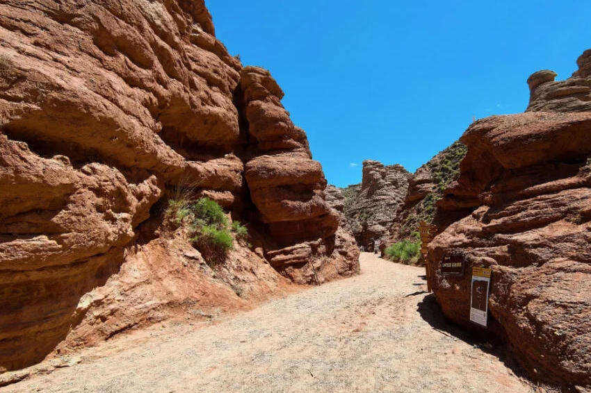 00000000hfihqyvPXcYiMmzZ