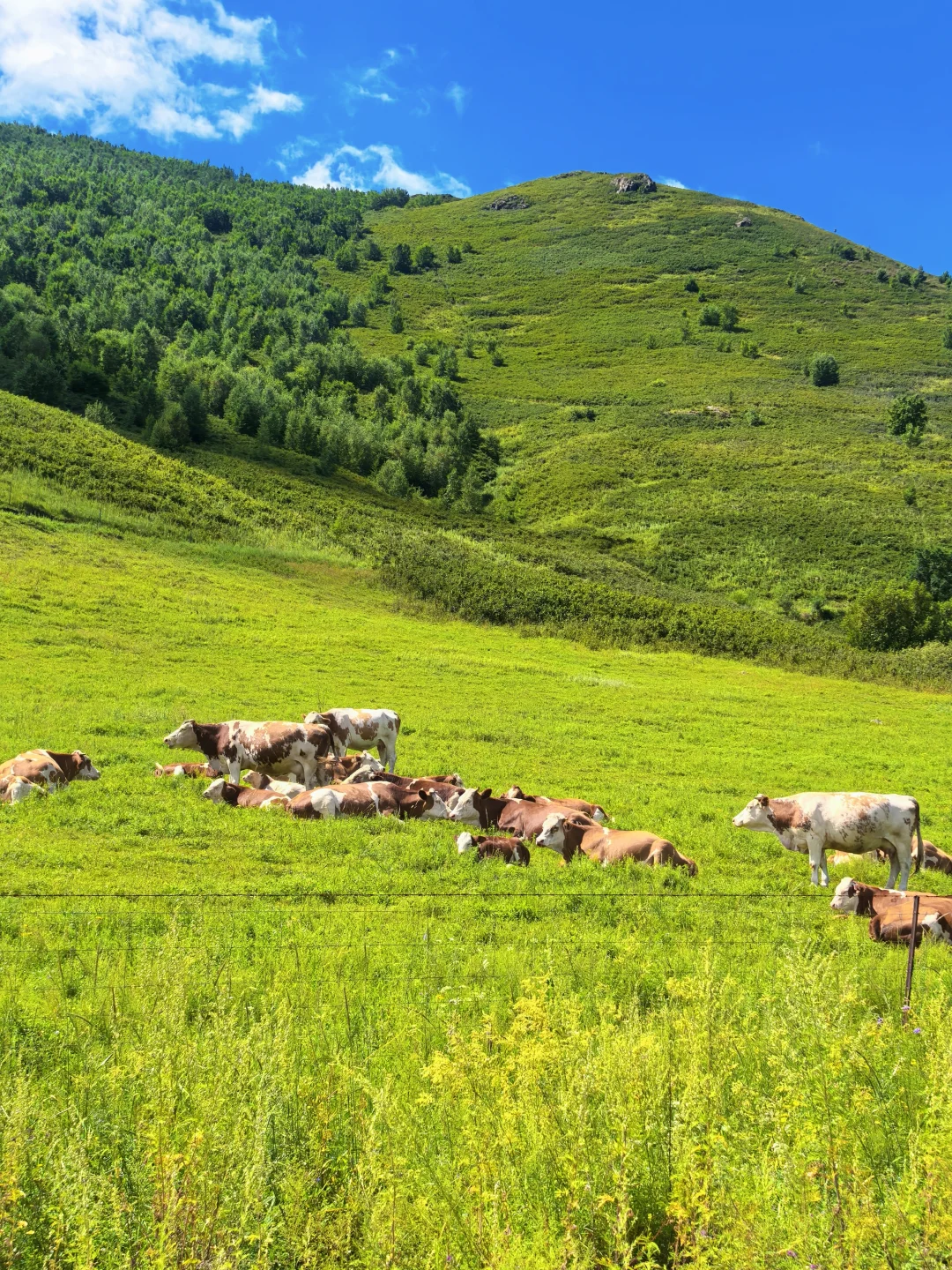 00000000huWajXJwvqRxouBl 00000000huWajXJwvqRxouBl