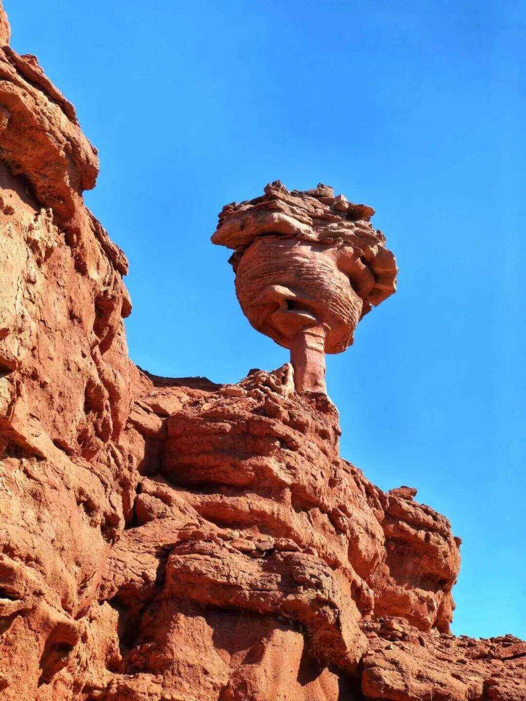 00000000iFYzjfXZKOxkKGcI