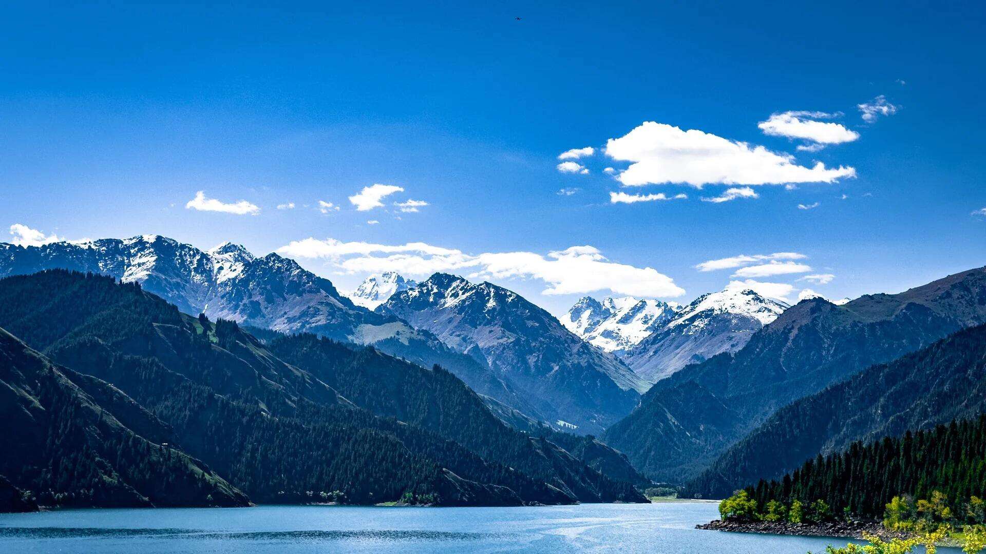 00000000iLxyJMcdInbAxJti