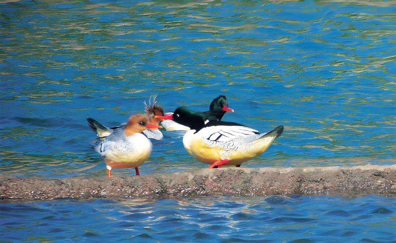 00000000ilnzSYbowQMLqlzQ 00000000ilnzSYbowQMLqlzQ