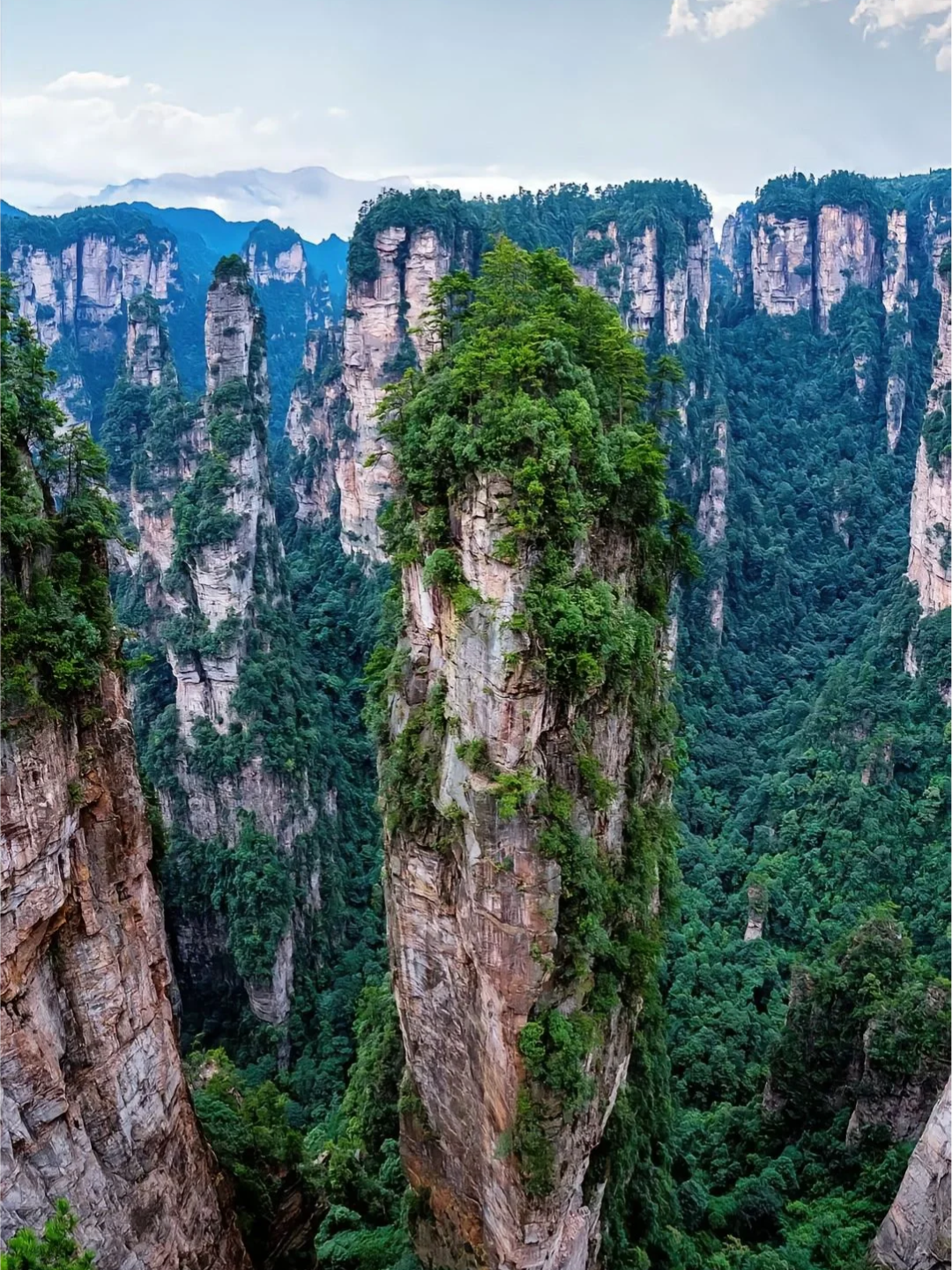 00000000jFnlLyvYDUeohBkV