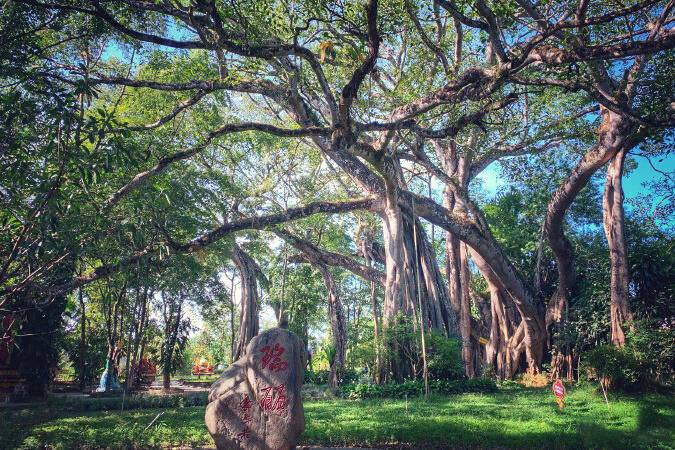 00000000jPHXKkEZGGuQbqVD 00000000jPHXKkEZGGuQbqVD