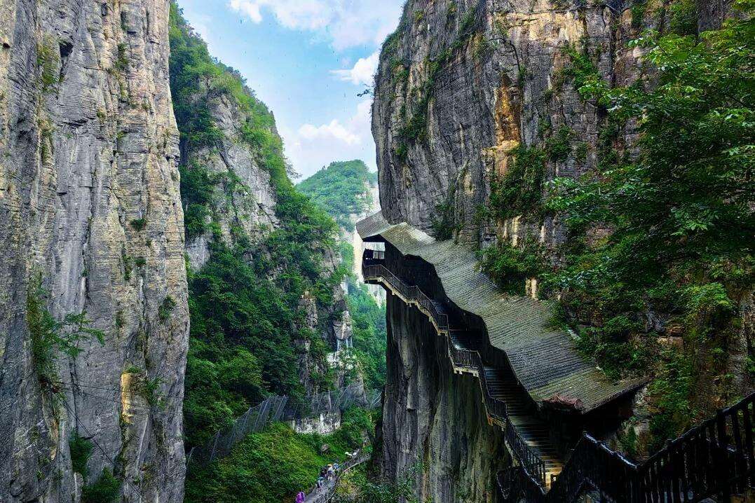 00000000jSDXfDDtSsrZRaNg