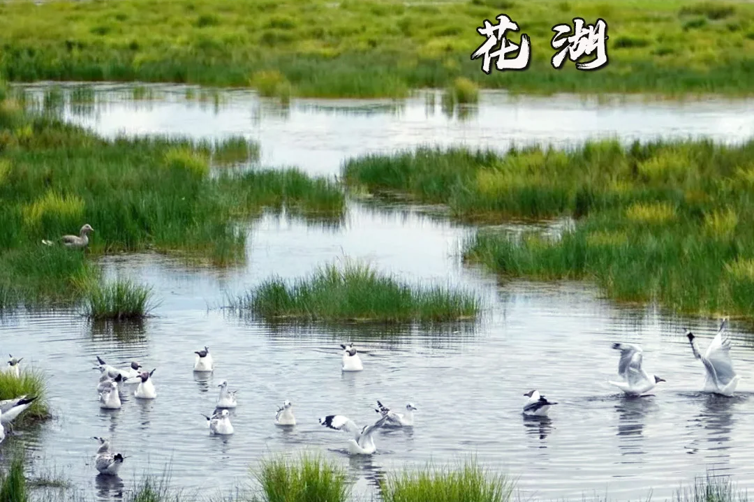 00000000jpdrRRIlSyqYoBXz