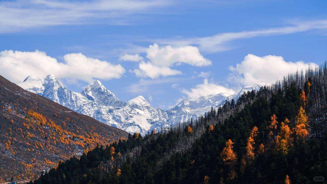 00000000jyjaArvrMmeNPbLo