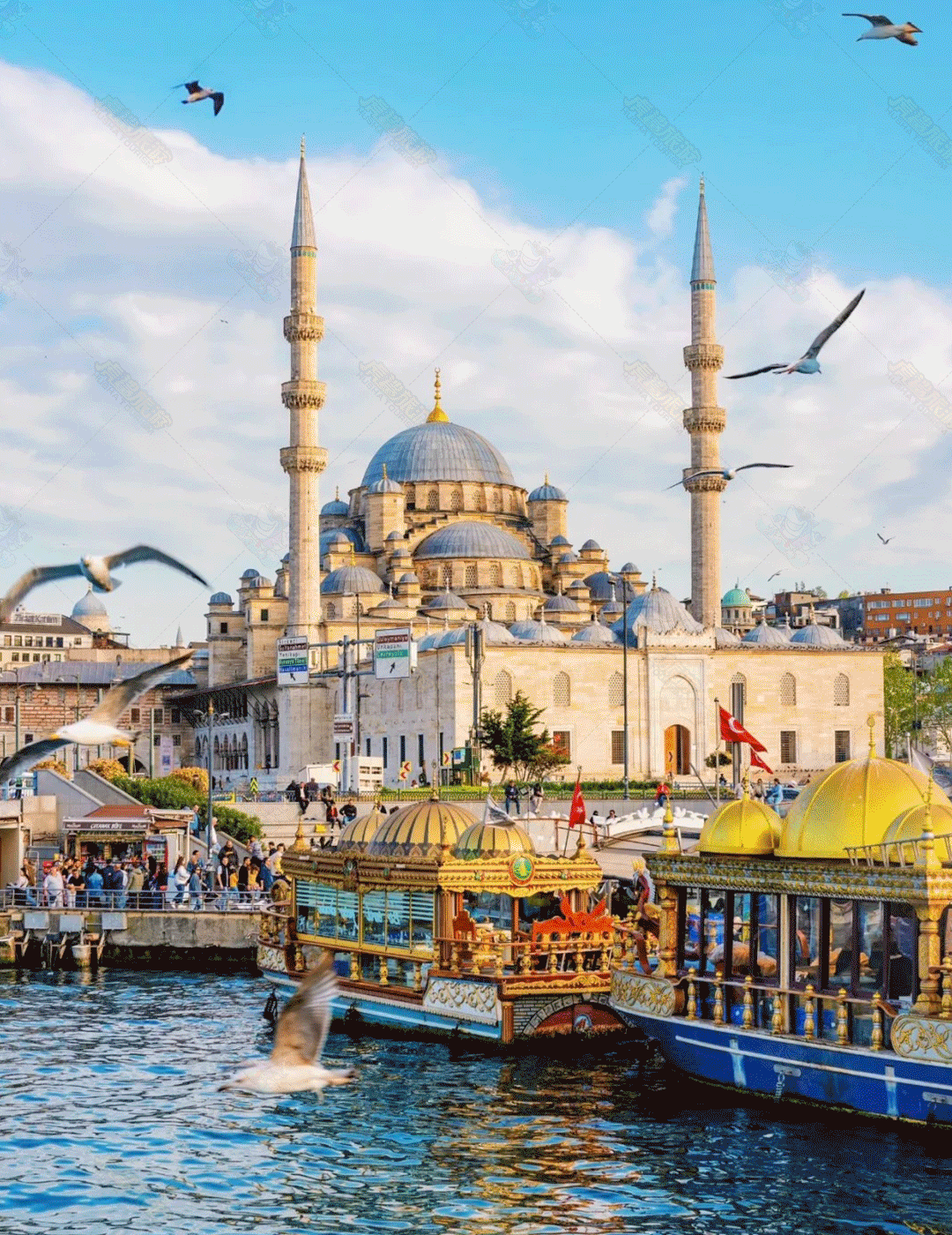 00000000kFsRvWhPyHYIKPtX