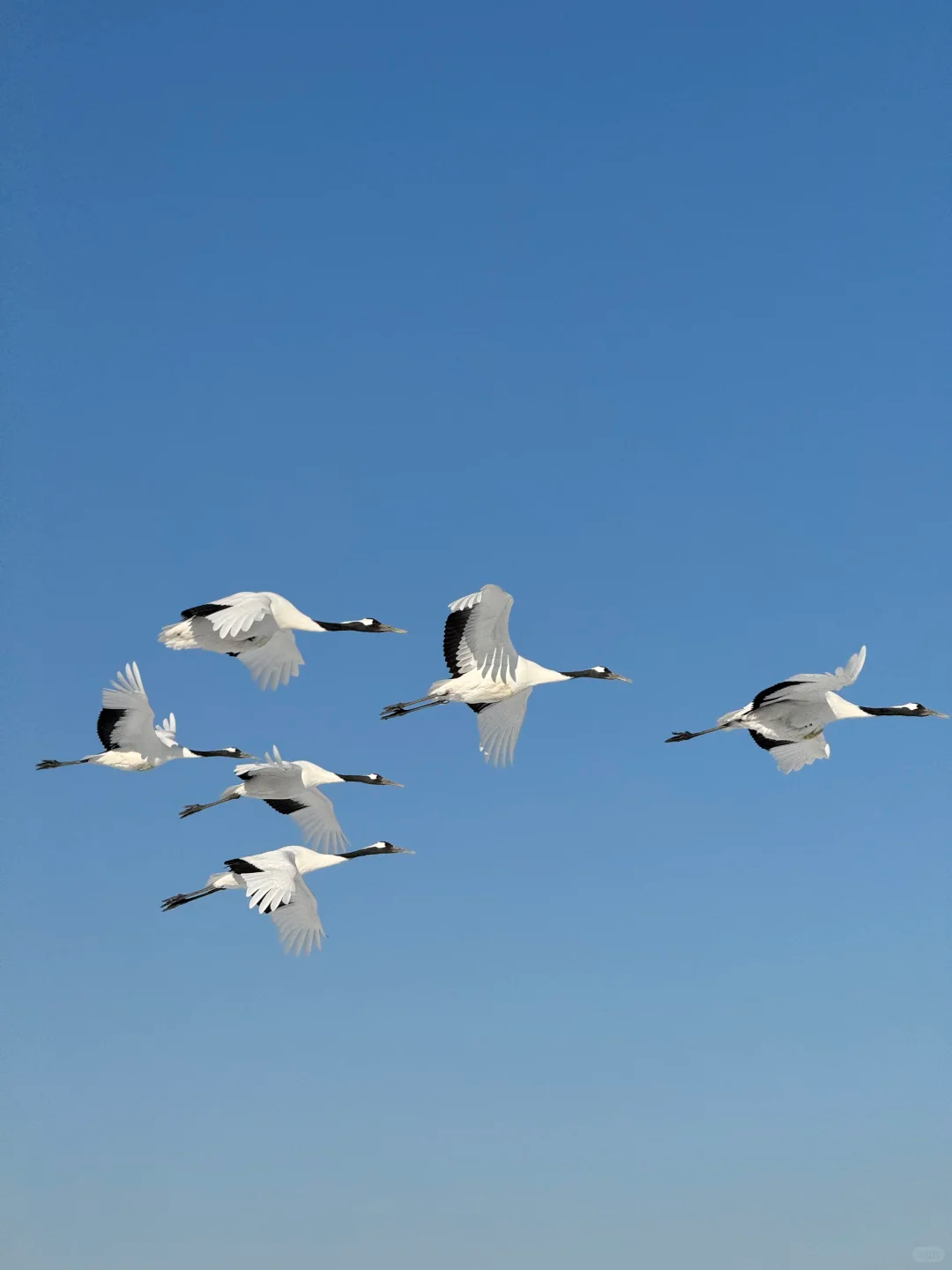 00000000kXyNzTzxpYnfqbXh 00000000kXyNzTzxpYnfqbXh