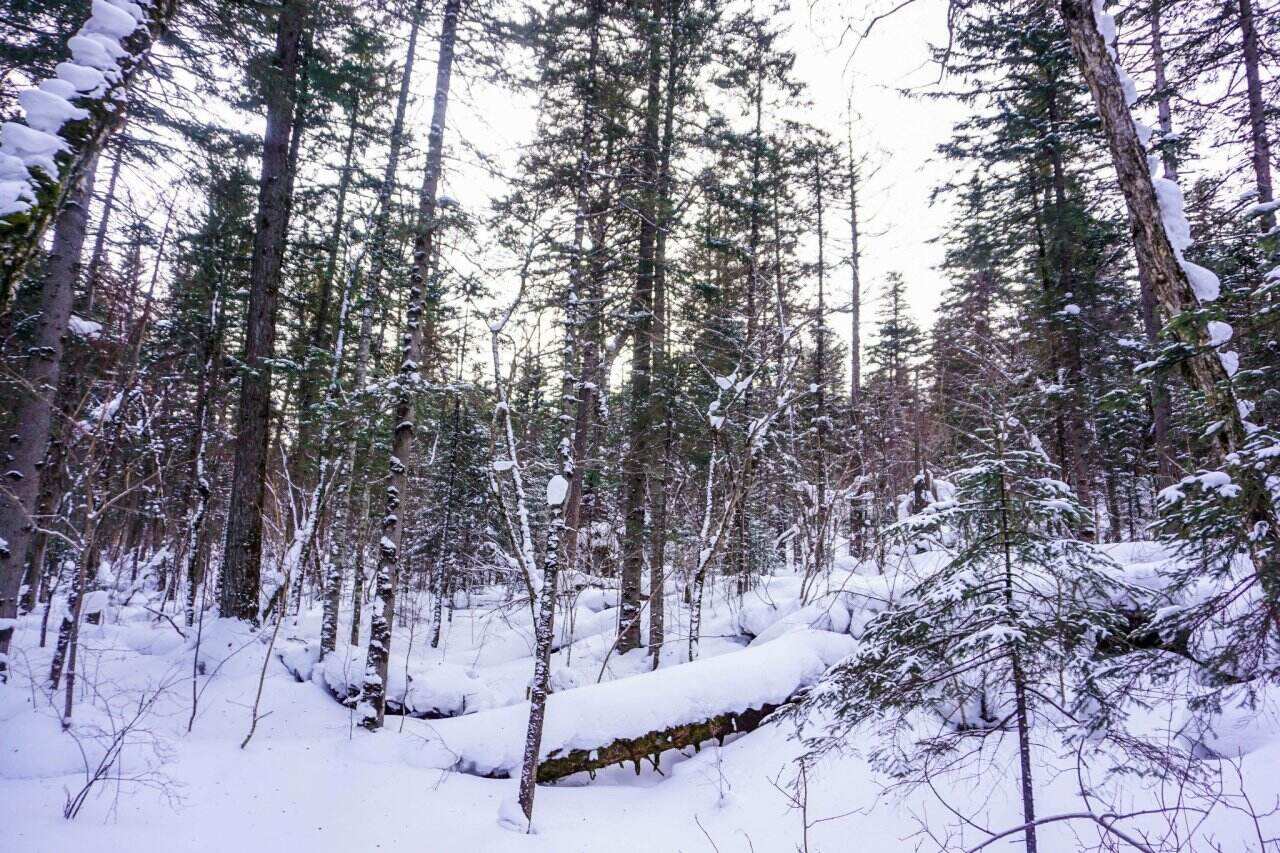 00000000kYwxhGdlPifqxoRC