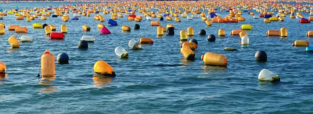 00000000lCXJagGVlYzJaWbm 00000000lCXJagGVlYzJaWbm