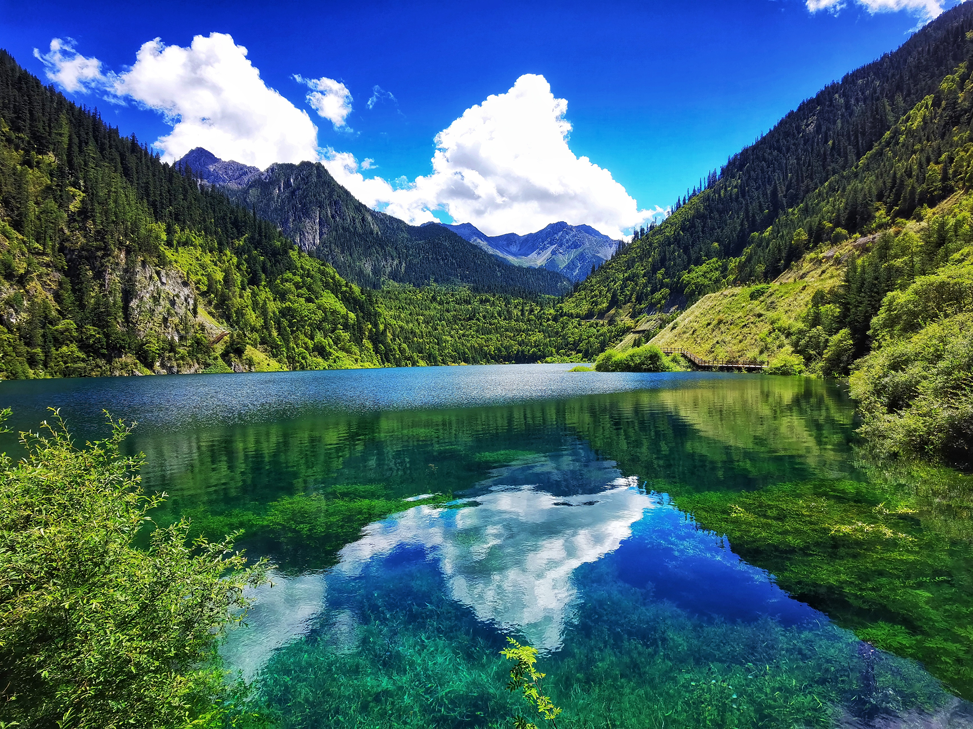 00000000lSrySxAAepikelvn