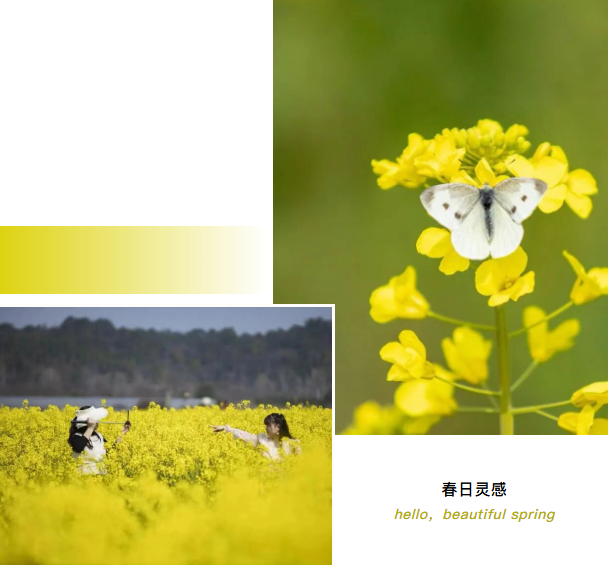 00000000lUILgVudaVIEfzOm-1