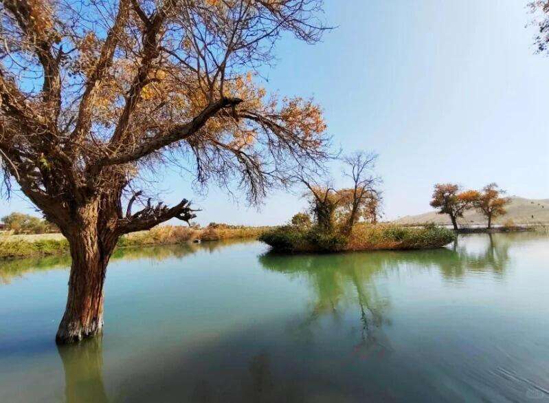 00000000lqJVdLvRQaIJaHWy 00000000lqJVdLvRQaIJaHWy