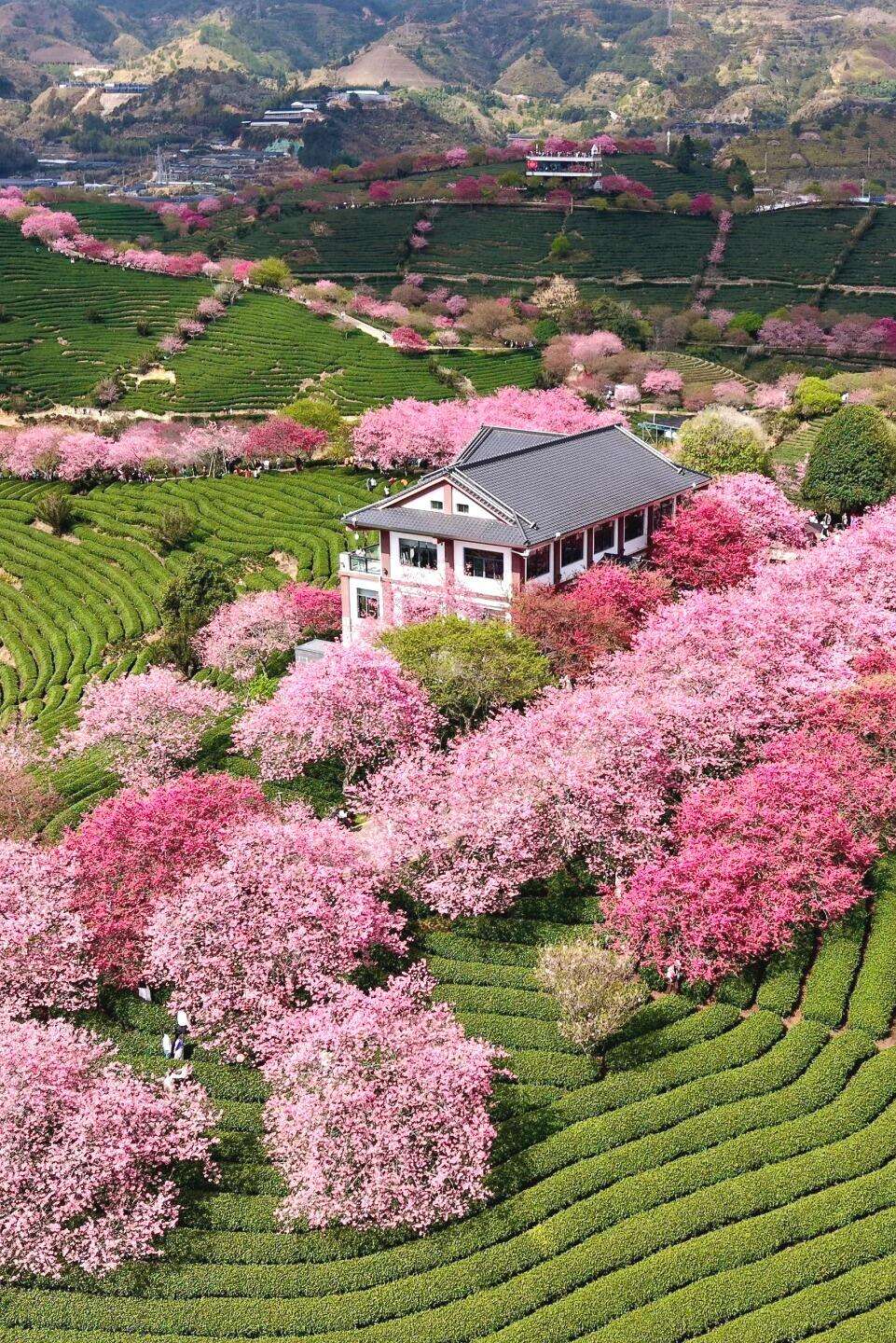 00000000mgpHTOafenVOrlfs