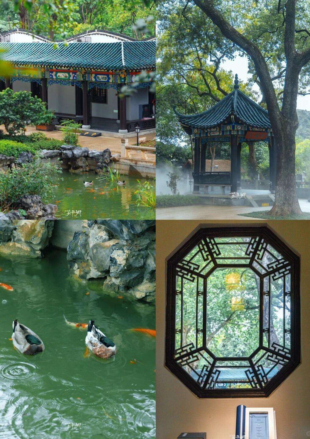 00000000nciHUoLesSSFcABC 00000000nciHUoLesSSFcABC