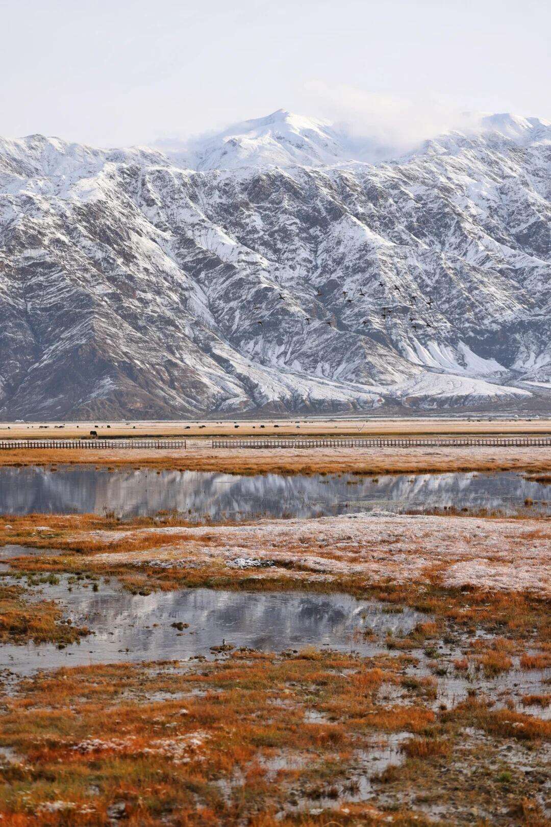 00000000ollWcwVPlvRYcILF