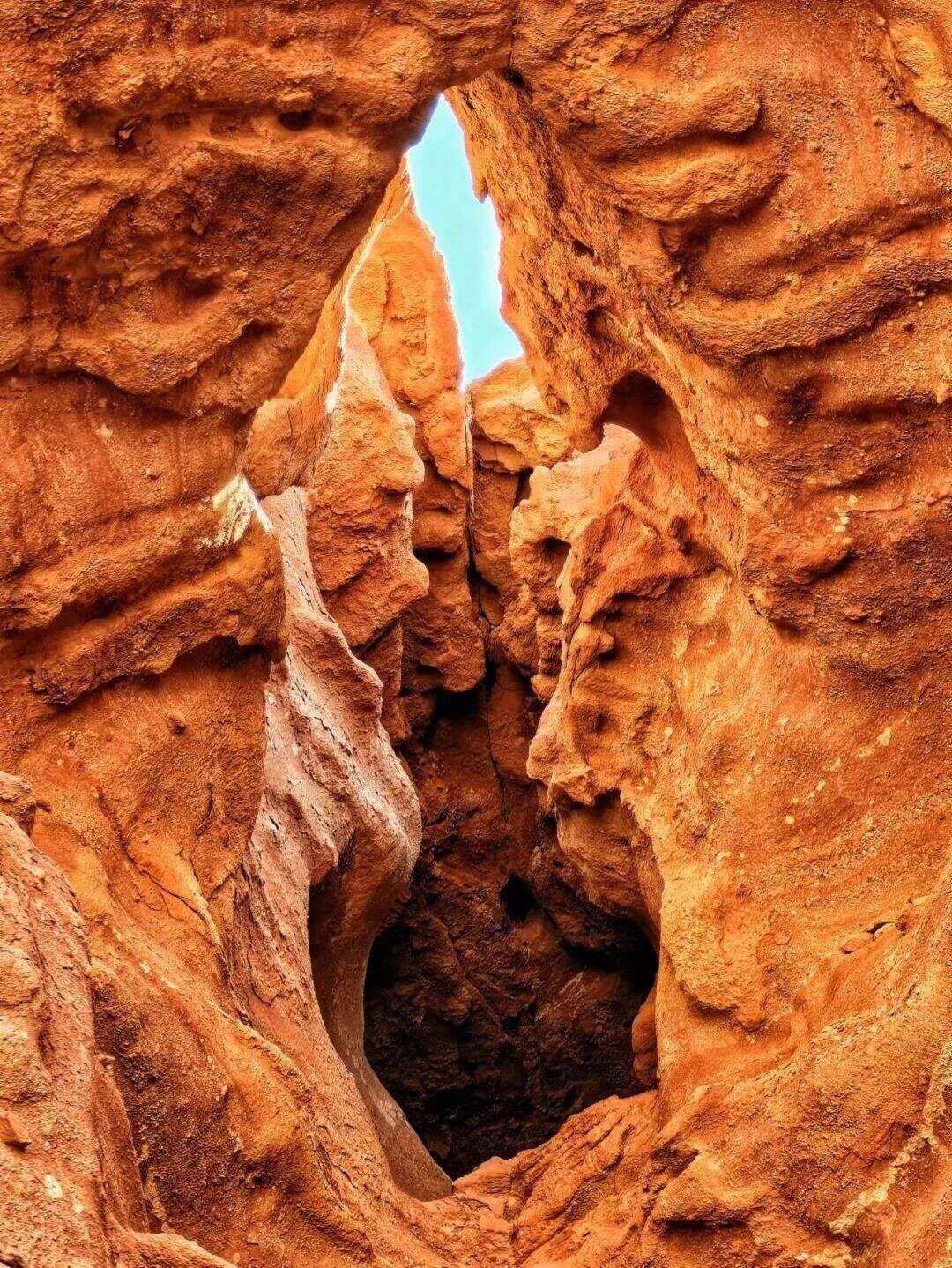 00000000pmfmhWAPglRARULf